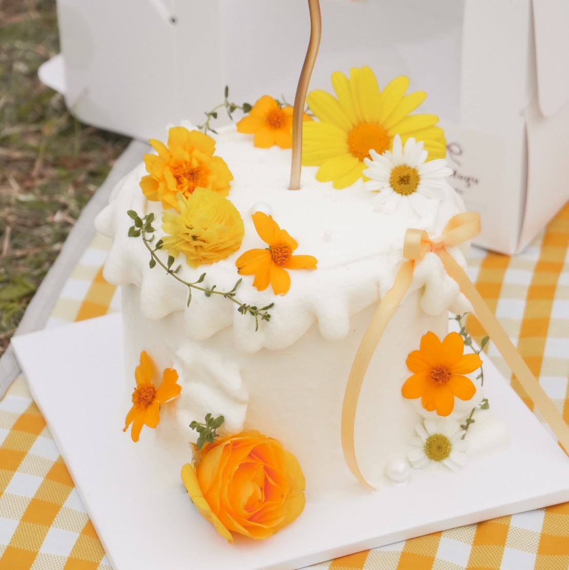 向陽拾光|食用花系列